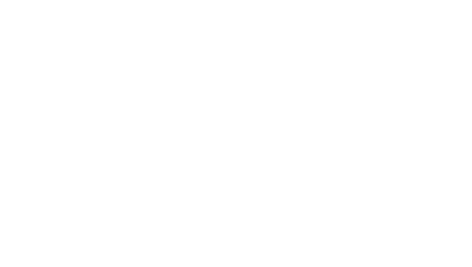 Jedan frajer i bidermajer